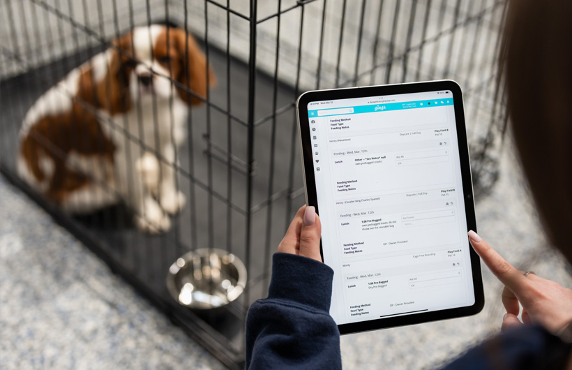 iPad, bakıcıların evcil hayvan işletmesi yönetimi uygulaması olan Gingr’ı kullanarak hayvanların yediği mamadan içtiği ilaca kadar anlık durumlarını gerçek zamanlı olarak güncellemelerine olanak tanıyor.