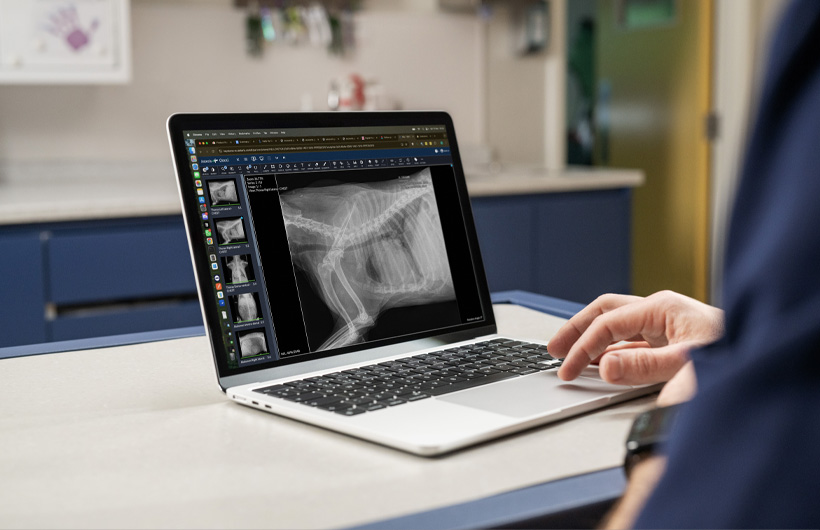 Su MacBook Air il personale medico visualizza ogni dettaglio di radiografie ed ecografie in tempo reale.