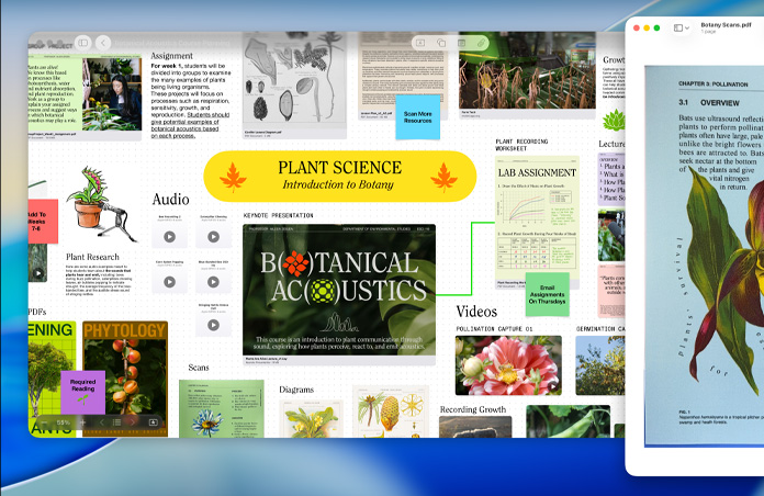 Un pizarrón de Freeform sobre ciencia de las plantas en una Mac, organizado con audio, videos e investigación, junto a una ventana de Vista Previa de un PDF, para demostrar una productividad optimizada de manera sencilla
